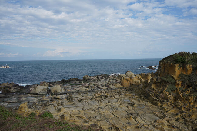 台東、小野柳もこんなとこありましたね…って、野柳近いんやん。なるほど、そんな感じの岩が。
