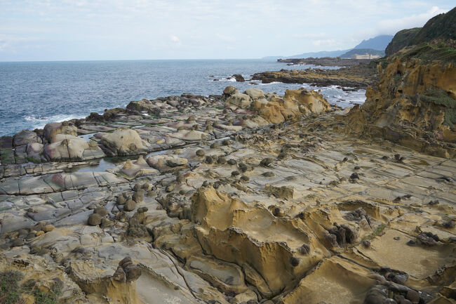 この辺はお豆腐屋さんかな。