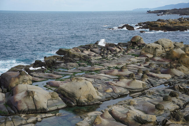 海辺は少しだけ荒々しく？