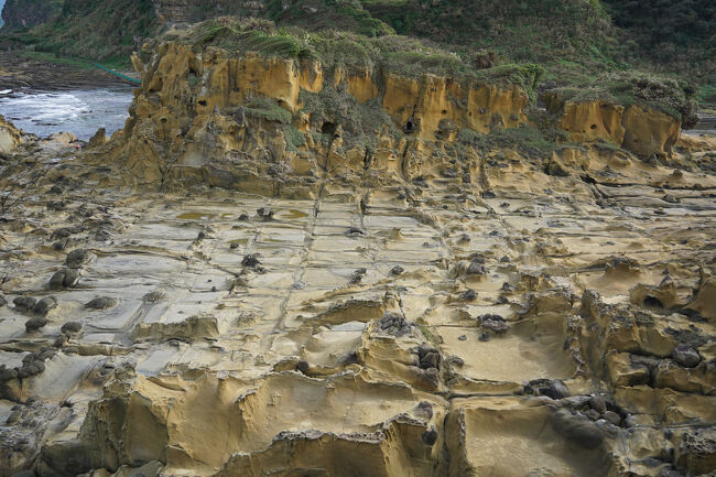 お豆腐でしたっけ？