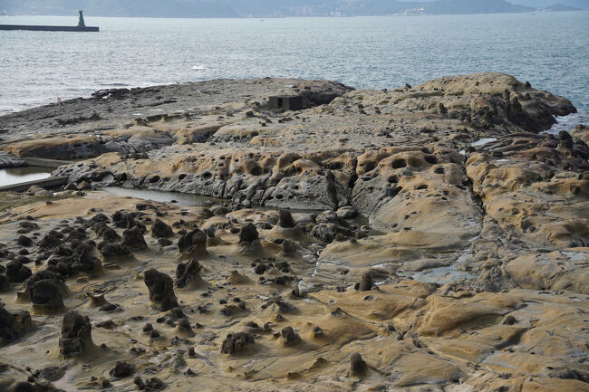んでも、小人さん？が沢山らしい。