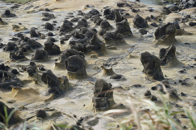 数えられまへんな。