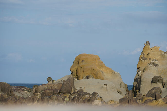 見えなくも無いかな。女王様は野柳、健在やろか？