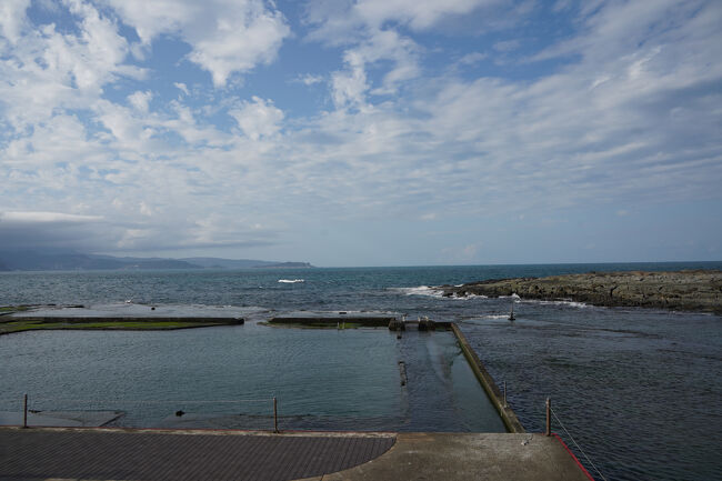 こっちのプールは泳いではる…水冷たそう…