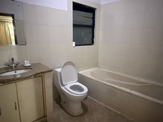 トイレはネパール方式の水銃付き、バスタブはありますが水圧が低いので貯めるのは忍びなく、シャワーで済ませましたけど