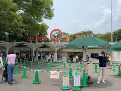 王子動物園に来ました