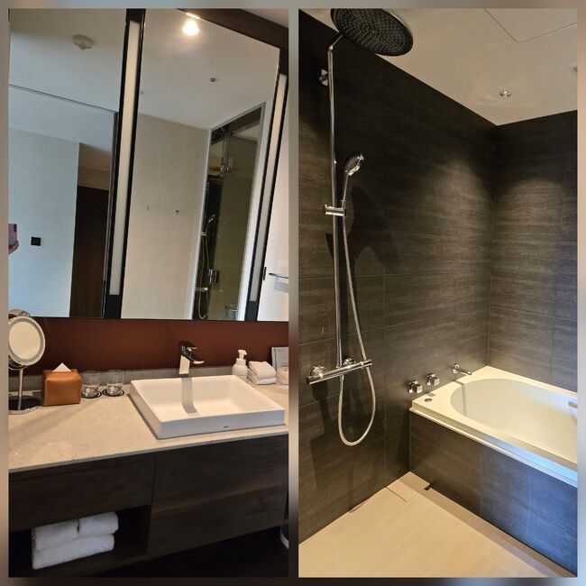 ウェットエリア。シングルシンク。<br />タオル類は豊富にあります。<br />バスルームも広々しています。<br />温泉があるので、使用せず。