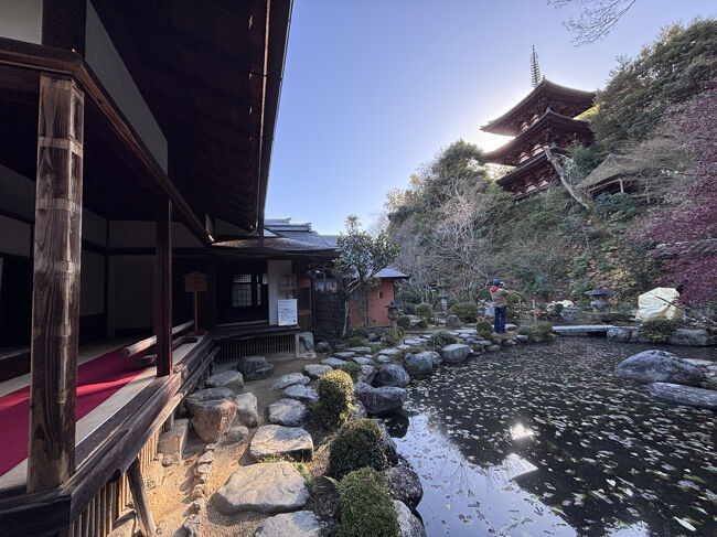 国宝の東塔を望む香藕園（こうぐうえん）は、なんとも趣があります。紅葉のシーズンは、きっといっそう美しいのでしょう。書院は重要文化財で、ここでは庭を眺めながら抹茶をいただけるそうです。