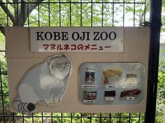 マヌルネコの生態