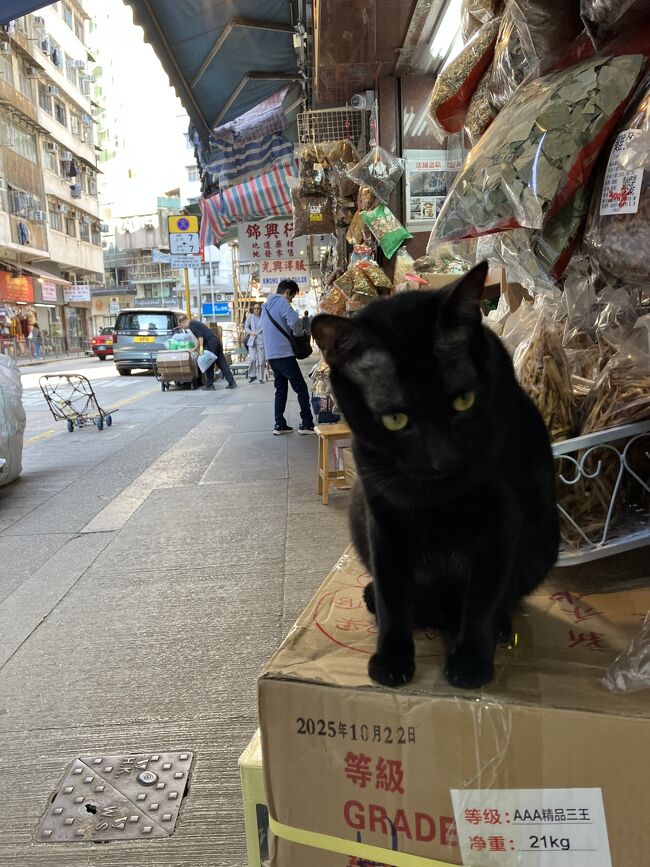 皇后大道西の間物ストリートで細々とお買い物。フリーズドライパッションフルーツがヒット。<br /><br />合德隆藥材<br />171 Queen's Rd W, Sheung Wan, 香港<br />↑<br />フリーズドライパッションフルーツ買ったお店<br />このエリアなら大抵のお店で手に入るかと。