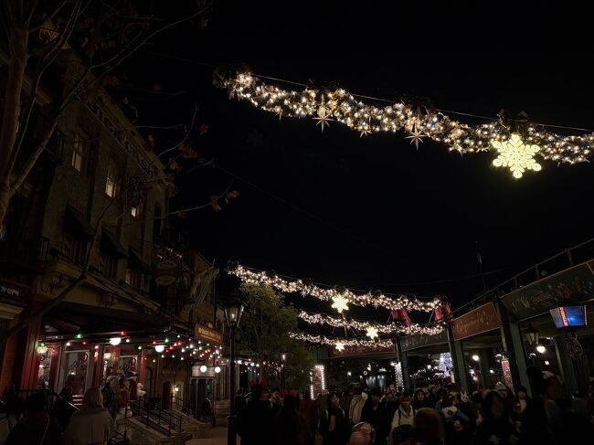 こちらがニューヨークデリと反対の方の？アメリカンウォーターフロントの道のイルミネーション。ここは本当に素晴らしいです