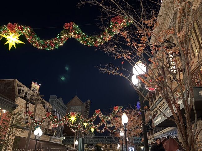 ニューヨークデリの方と２箇所で色違いのガーランド？とても綺麗でした