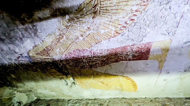 墓の番人がネクベト神をアップで撮ってくれました。（もちろん、バクシーシは必要です。）