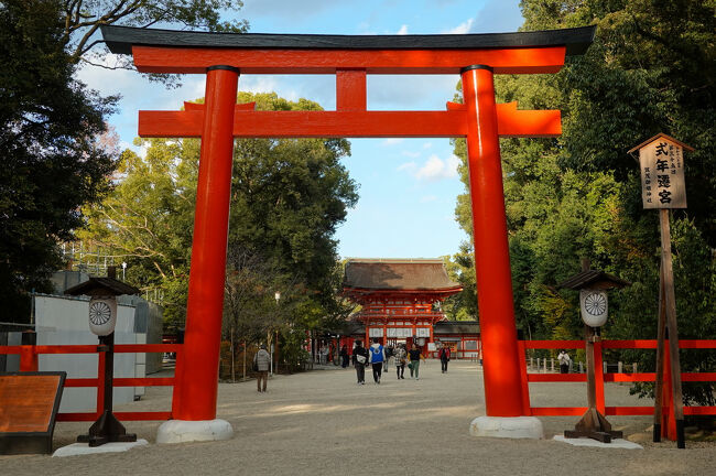 今回は鳥居の手前からお参りして、神社には立ち寄らず。