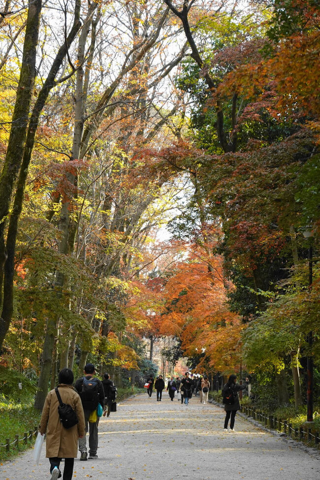 こちらの道は、ちょうど陽がさして紅さが増しています。