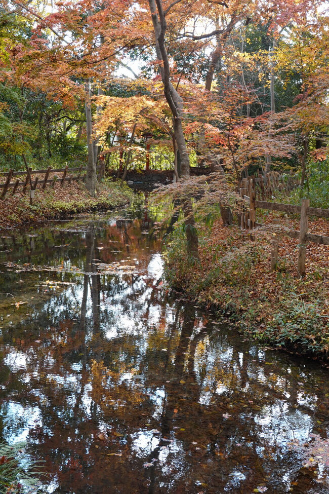 唐崎社 紅葉橋遥拝所。