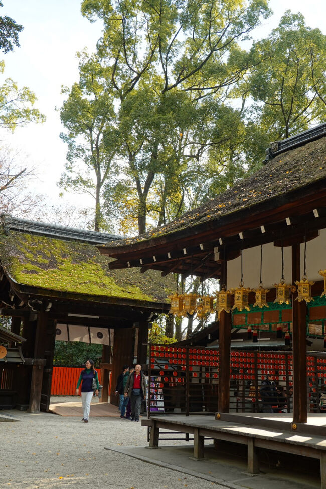 神門を振り返って。<br /><br />かやぶきの屋根が苔や落ち葉で彩られている風情がいいですね。