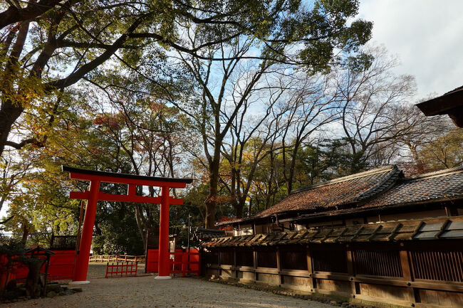 河合神社の西鳥居。