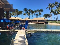 イルカたちも一緒に朝礼中