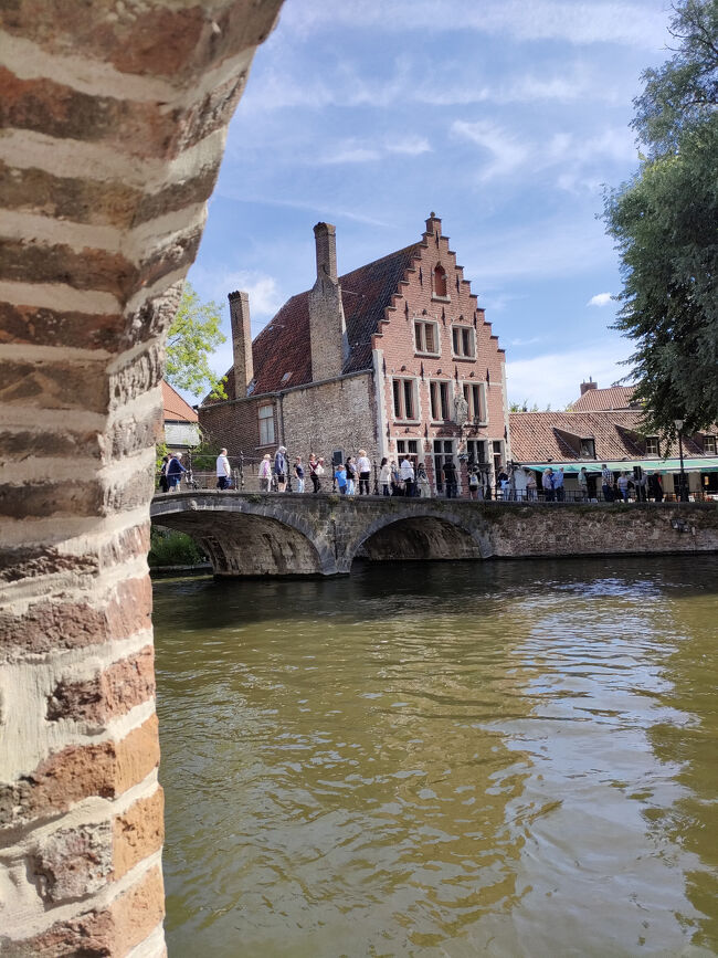 庭から見た景色