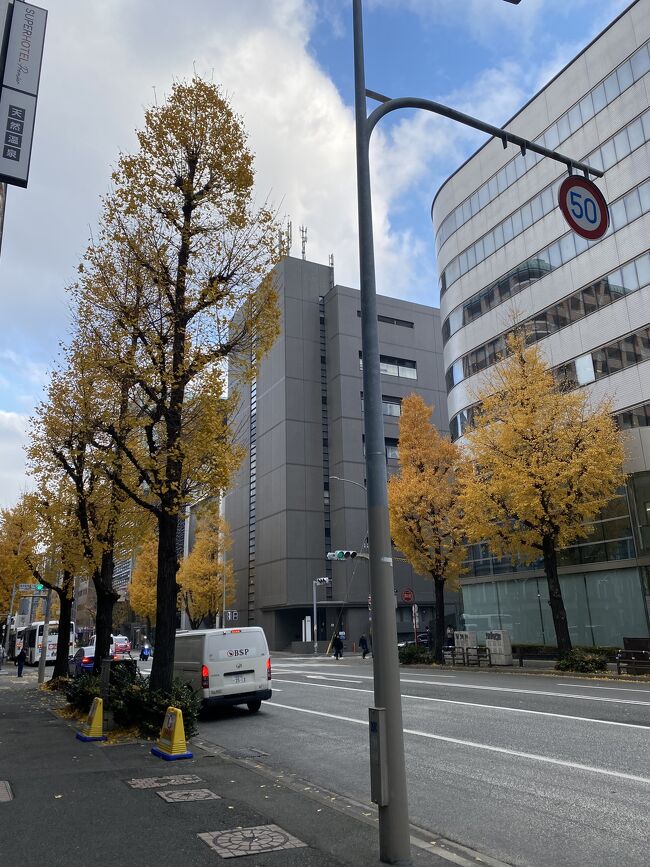 2025年12月18日(木)<br />静岡の天気　15°/6°<br />福岡の天気　15°/6°<br /><br />朝からうきうきと大浴場へGO！<br />……。<br />山積みにされたタオル。<br />床に撒き散らされた髪の毛。<br />何故か洗面台にある風呂桶。<br />更にそこへ突っ込まれたドライヤー。<br />どんな育ち方をしたらこんな…？<br />立つ鳥跡を濁さずという言葉を<br />知らないのでしょうか？<br />我慢できずにちょっと片付けてから<br />ささっと朝風呂を済ませました。<br /><br />写真に納め忘れましたが<br />ホテル貸出品にあった<br />ビューティーアイロンを借りました。<br />SALONIAのストレート兼アイロンでした。<br />夕方までしっかりカールで大満足！