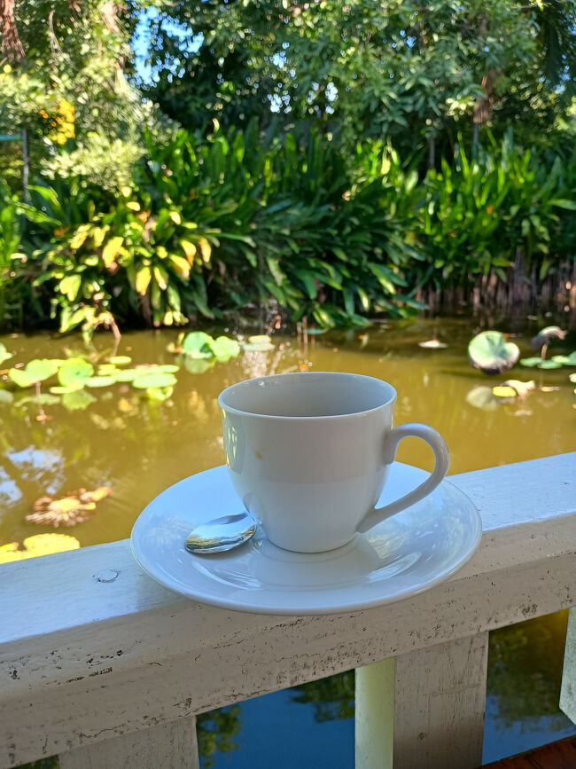 無料のインスタントコーヒーを、早速いただきます。