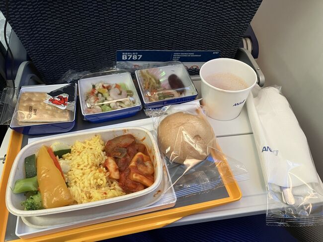 お腹空いていたのもあって、帰りの機内食はほぼ完食。野菜が美味しい。隣の欧米女子は一切の食事・水分を断っていた。復路は往路と違って偏西風で早いし、隣の人もふつうサイズだったので超快適でした。<br />映画は「ひゃくえむ。」と「ルックバック」観たよ。ひゃくえむ。面白かった！