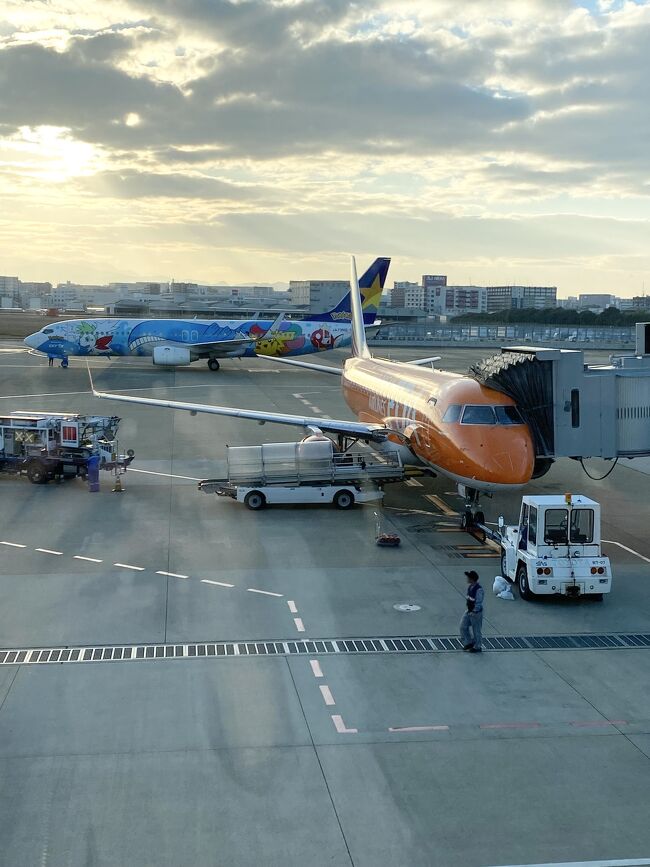 FDA(146便)<br />福岡(FUK)17:00-静岡(FSZ)18:25<br />→16:56-18:25<br /><br />ポケモンジェットとパシャリ！