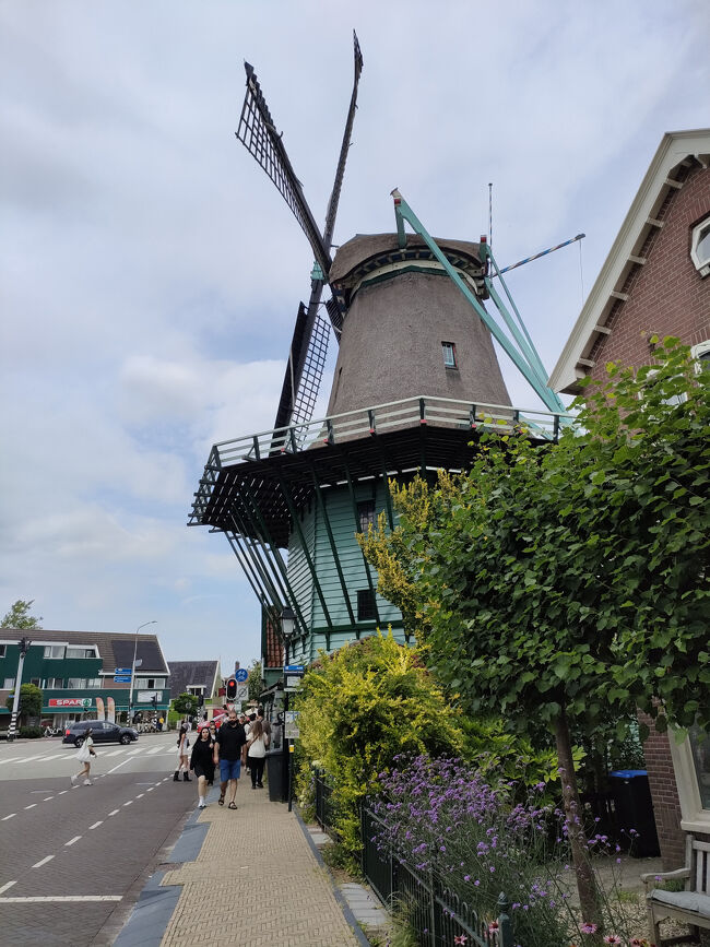 しばらく歩くと見えてきました