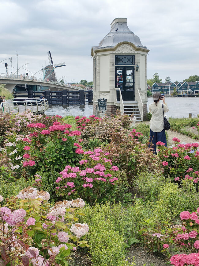 橋を渡ったところが公園のようになっています