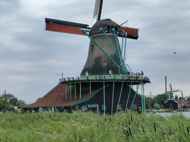 見学もできます