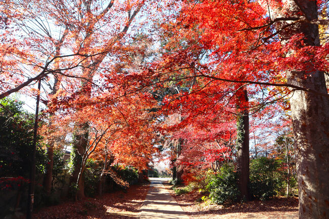 参道を振り返ります。