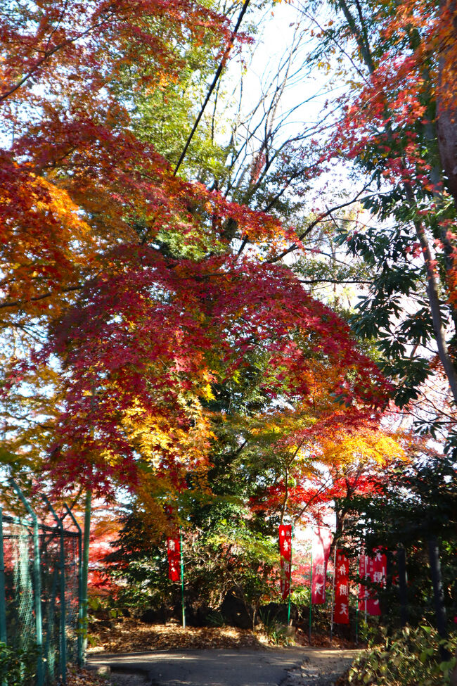 紅葉の中に弁財天の旗。