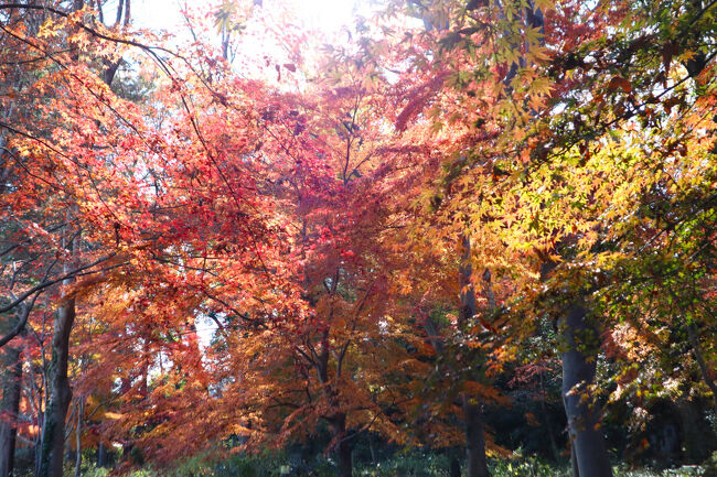 訪れる人も２，３人ほどです。