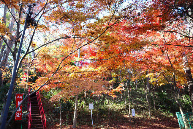 自然が残っています。