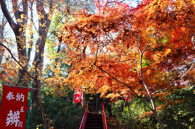 もう何回も来ていますが、来るたびに新鮮な気持ちになります。