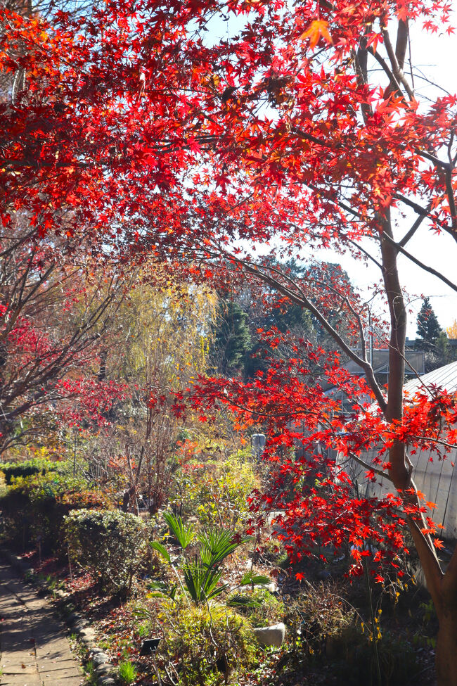 人は誰もいません。