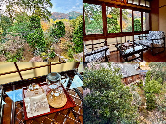 「早蕨」の縁側と縁側からの眺め<br /><br />写真右下は本館を見下ろしていますが，眠雲亭と本館との高低差がよくわかります。