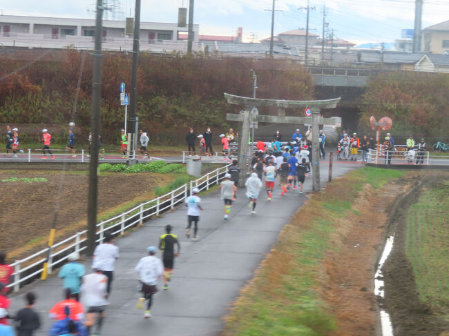 マラソン大会？やってました。子どもたちも走ってましたし、コスプレのランナーさんもいました。