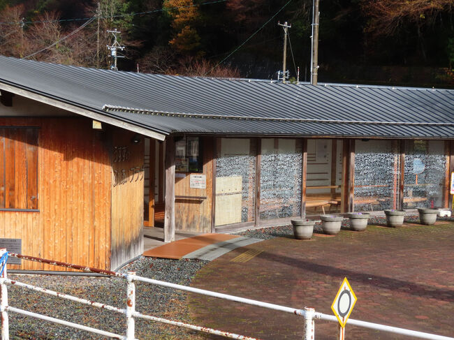 ホームから見た駅舎…でななく「うすずみふれあいプラザ」