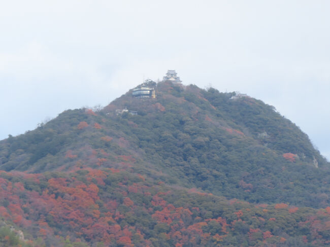 通るたびにチャレンジしている岐阜城撮影。