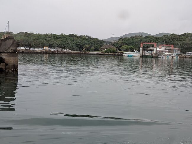 西表島の大原港までは約50分です。西表島の海は透明な石垣島のコバルトブルーの海でなく、深緑の濁った色でした。見るからに栄養豊富そうな色です。