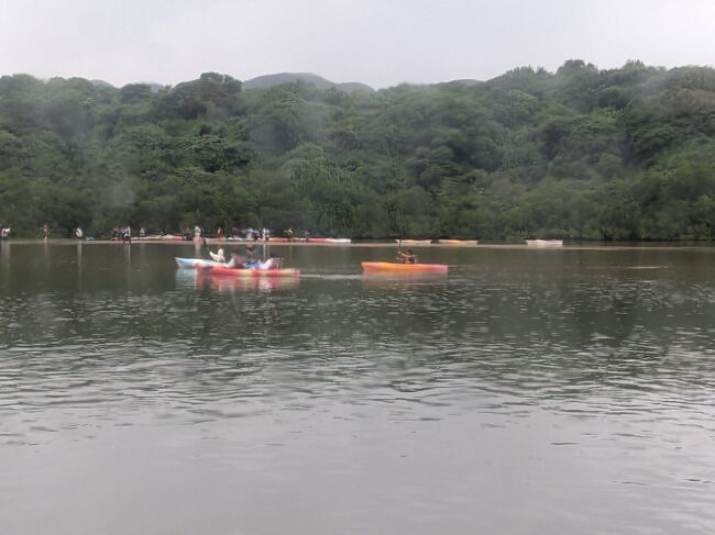 カヌーで川を上るツアーもあります。しかし私のようなシニアは年寄りの冷や水はせず、クルーズ船で。