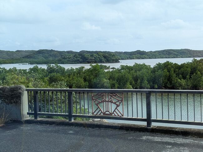 ここシーラ川にはかつてジュゴンが生息していたので、人魚と見間違われたジュゴンにちなんだものだそうです。<br />カンムリワシはイリオモテヤマネコと並ぶ西表島の貴重種です。