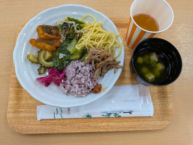 由布島に着くと、帰りの水牛車の時刻までは自由行動です。熱帯植物園の中にレストランがあり、そこでバイキング形式の昼食を摂ります。食事時間が決められているので、とりあえず時間内に。野菜も多くてヘルシーな食事でした。