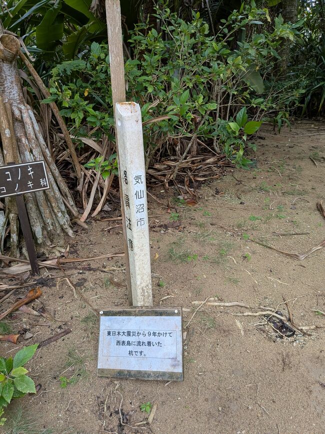 これは東日本大震災て気仙沼から9年かけて流されてきた杭。