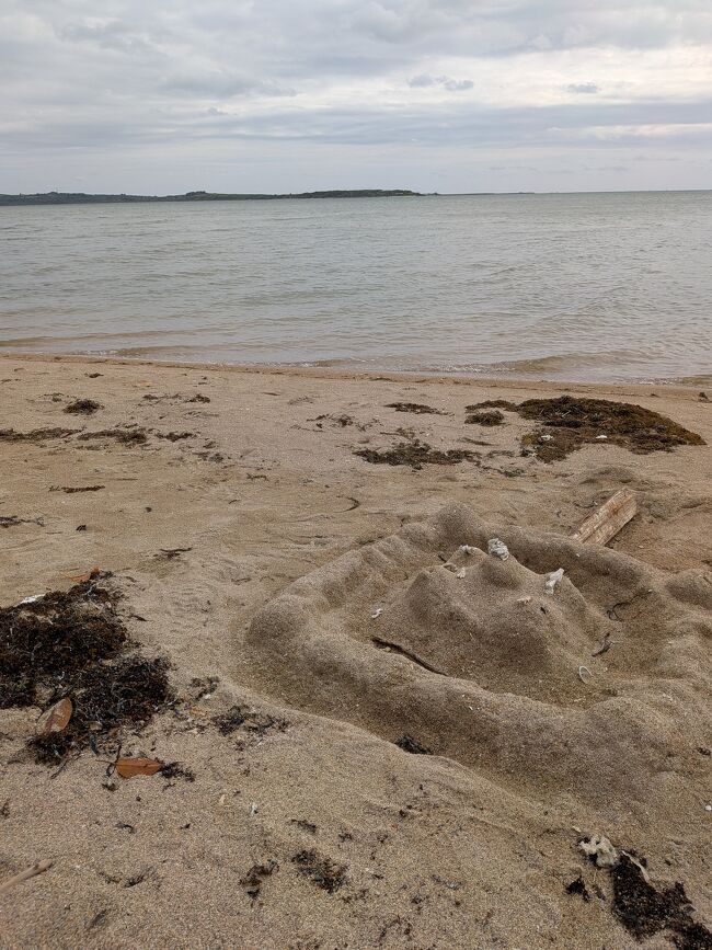 向こうに見える新城島までの海域にはマンタがやってくるので、スノーケリングする人にとって人気の海域なのだそうです。