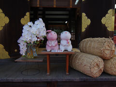 やはり初訪問の住吉大社。全国にある住吉神社の総本社で、うさぎとも縁深いところです。