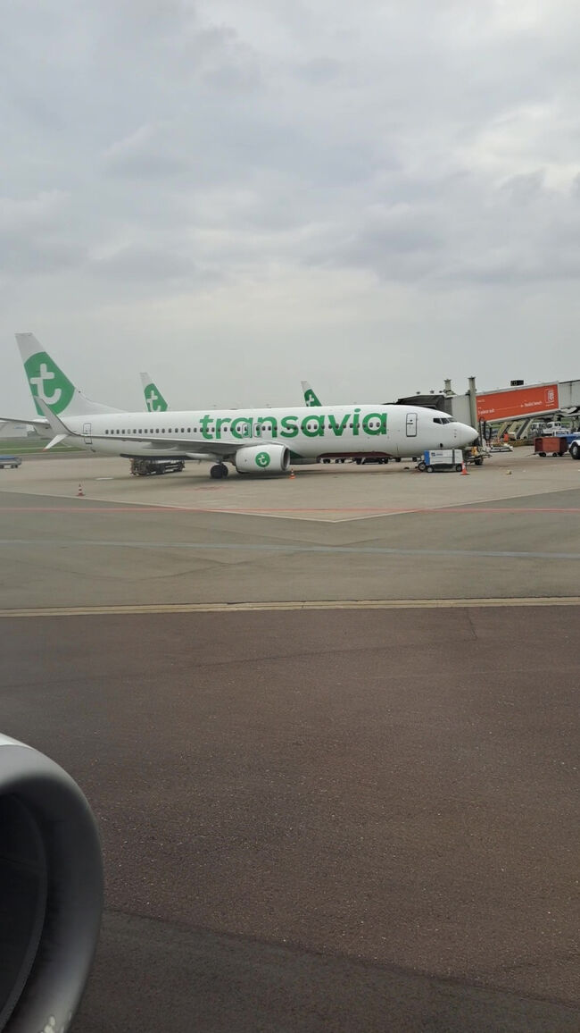 マドローダムにもTransaviaの機体が展示されていたような記憶があります。<br />実物を見ると、模型とはまた違った迫力がありますね。