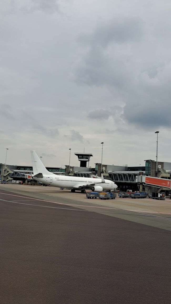 飛行機の行き来や地上スタッフの動きも見応えがあり、旅の記憶にしっかり残ります。